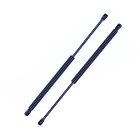 613465 Tuff Support 2x Trunk Lid Lift Supports Fits Chrysler Prowler 01 Inch 02 Plymouth 97